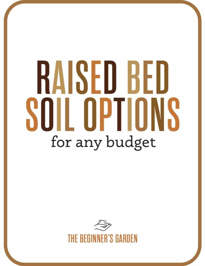raised bed soil options download
