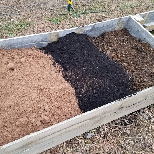 A raised bed of the perfect soil mix.