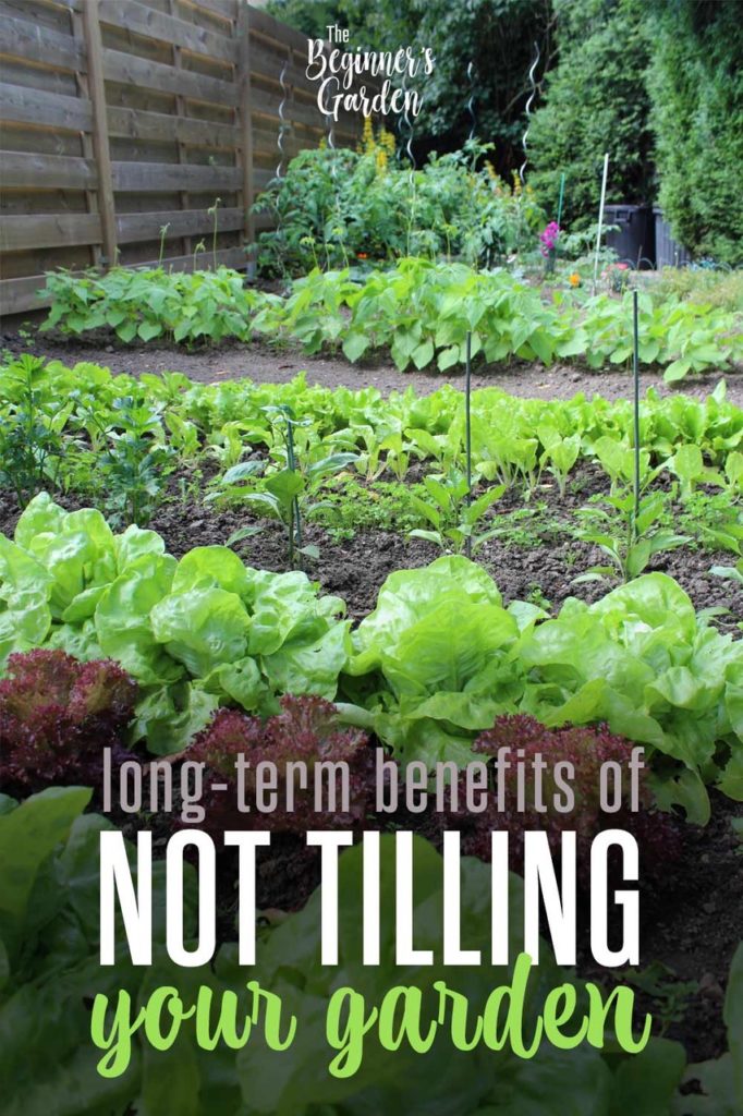 long-term benefits of not tilling your g arden