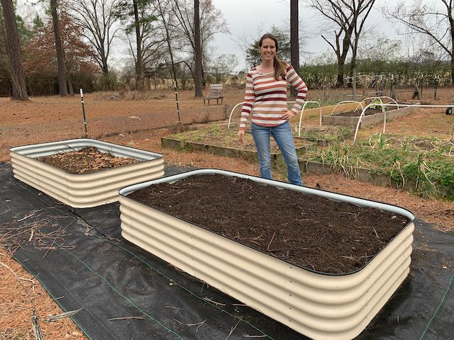 Raised Garden Beds vs. In-Ground Beds: Pros & Cons ~ Homestead and Chill