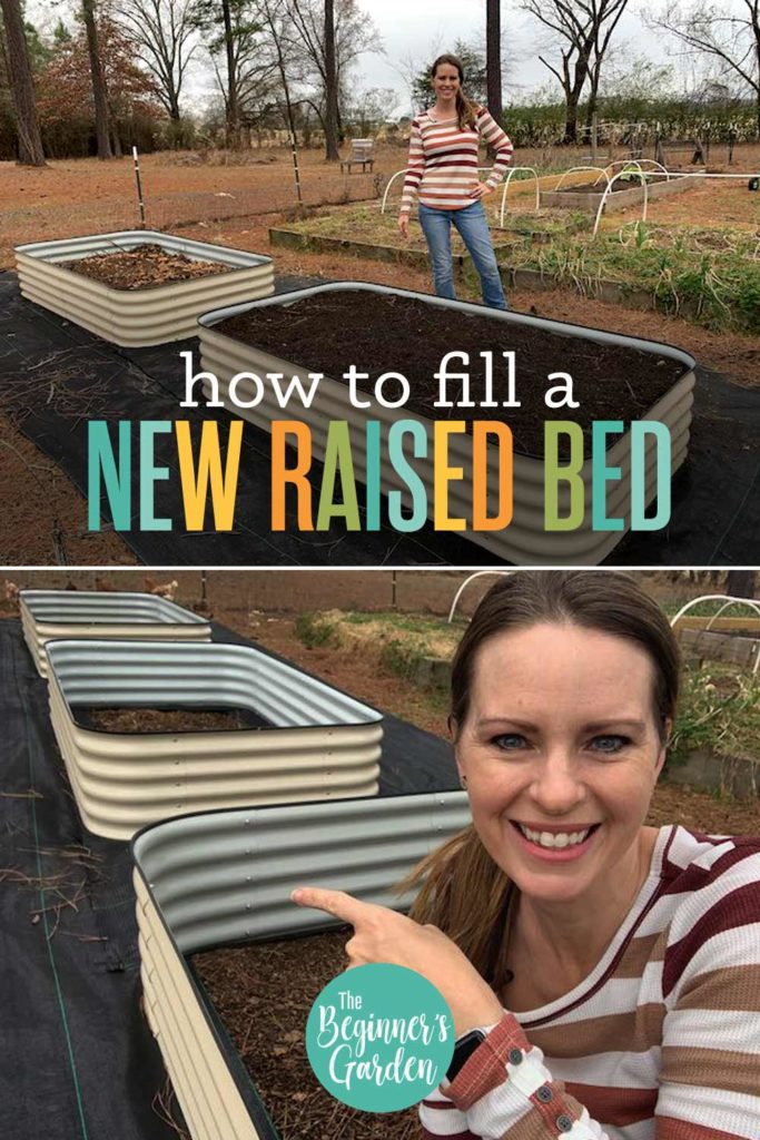 filling new raised beds