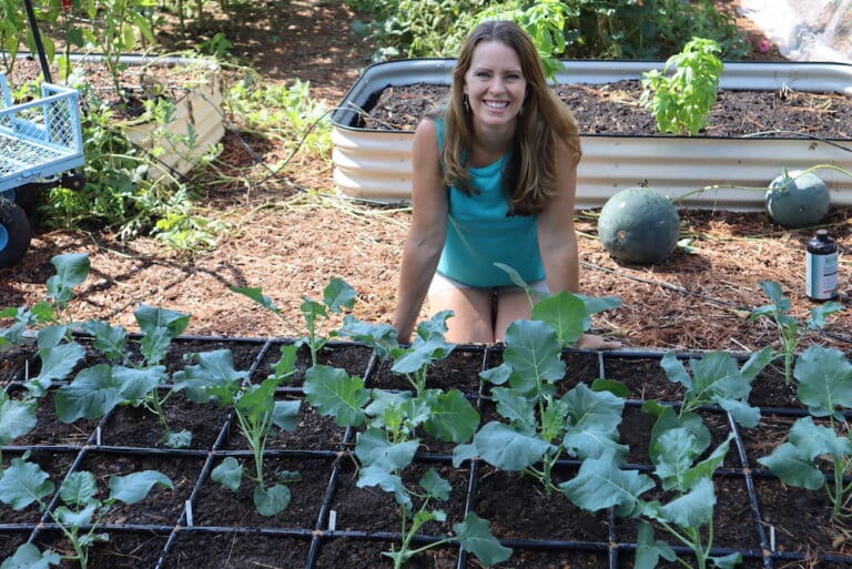 6 Raised Bed Irrigation Options for Home Gardens