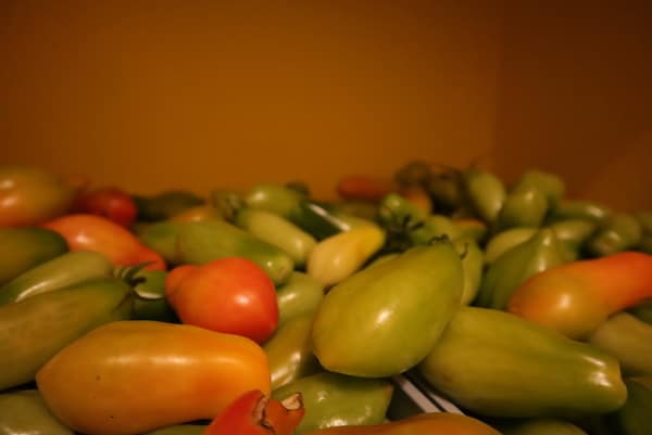 tomatoes ripening in closet