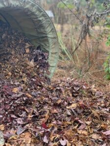 How to Use Fall Leaves in the Garden
