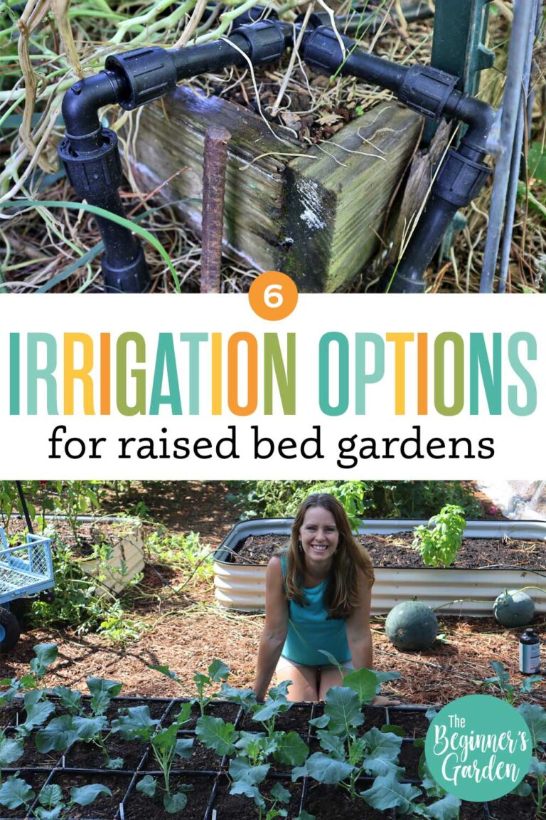6 Raised Bed Irrigation Options for Home Gardens The Beginner's Garden