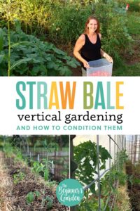 How to Grow Vertically in a Straw Bale Garden