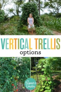 Best Trellis Direction for Vertical Gardening + 3 No-Fail Trellis Ideas