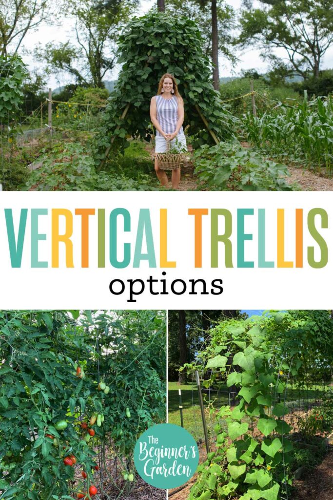 Best Trellis Direction for Vertical Gardening + 3 NoFail Trellis Ideas