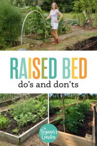 Raised Bed Gardening Do’s and Don’ts