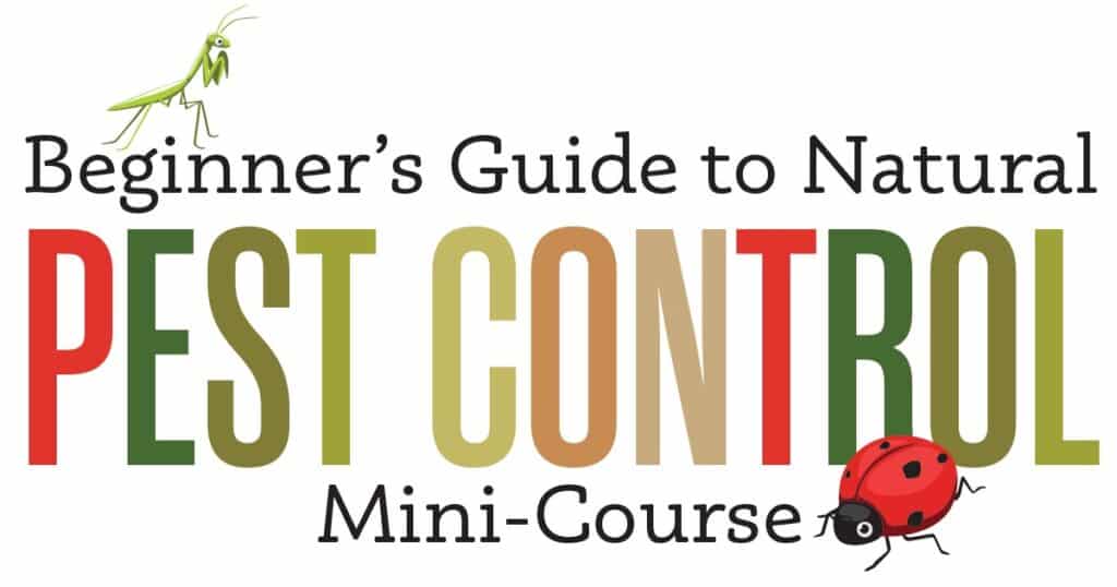 beginners guide to pest control mini course