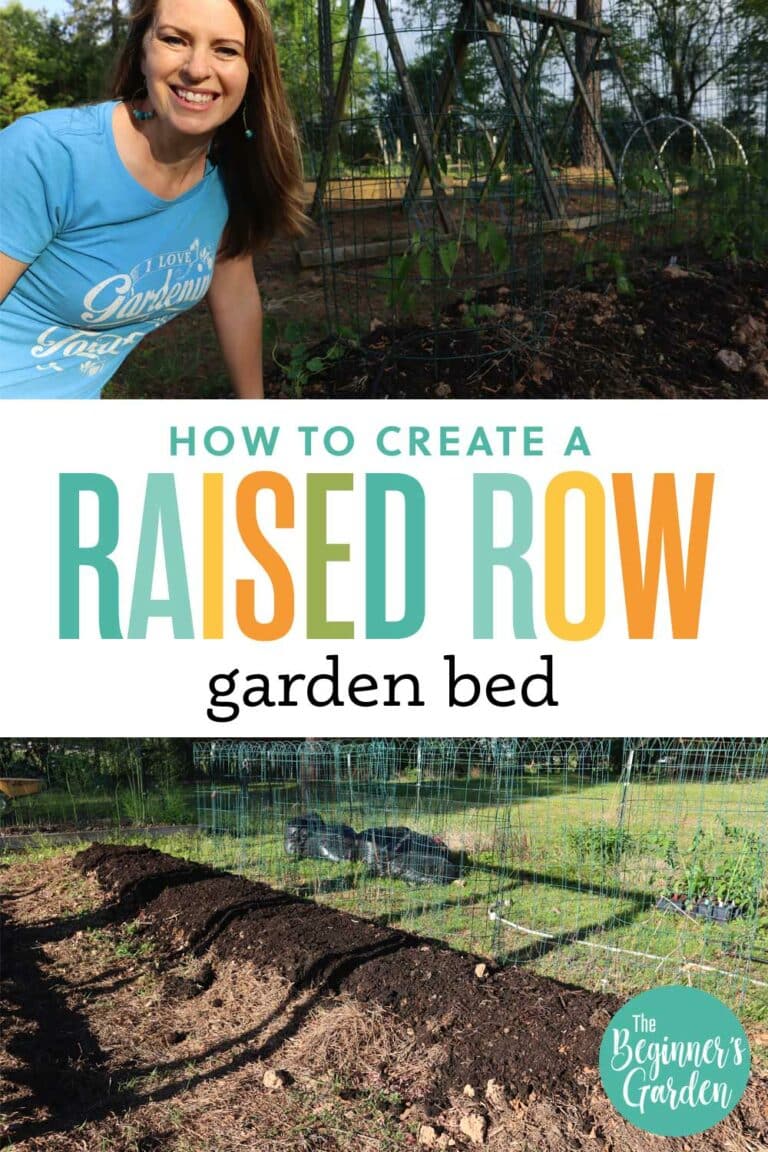 Creating a Raised Row Garden Bed The Beginner's Garden