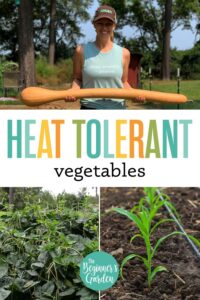 Heat Tolerant Vegetables