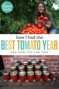 How I Had the Best Tomato Year Ever…And How You Can Too!