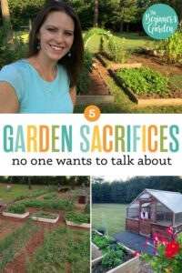 5 Garden Sacrifices No One Wants to Talk About (and how to prepare for them so you can fully enjoy your garden)