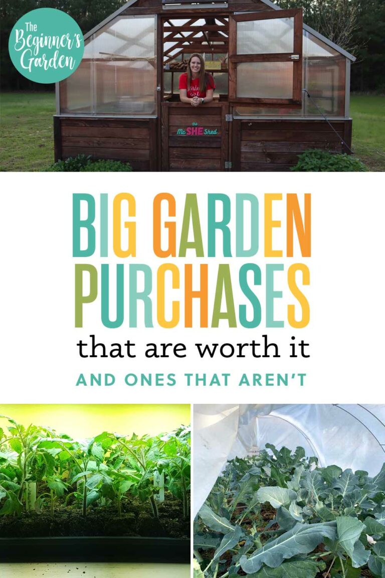 7 Bigger Garden Purchases – which garden items were worth the money