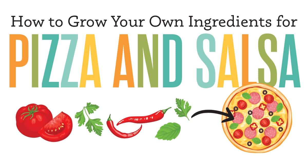 How to Grow Your Own Ingredients for Pizza and Salsa