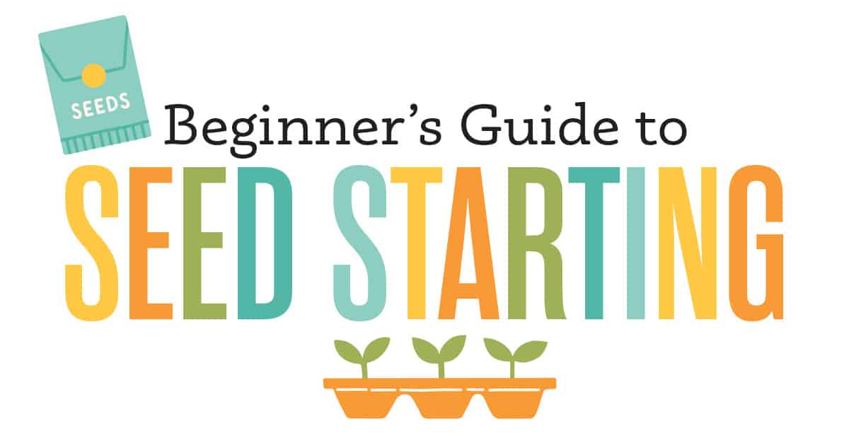 the Beginner's Guide to Seed Starting In-Depth 2-Hour Workshop
