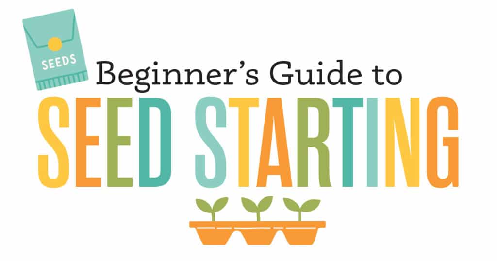 Beginner's Guide to Indoor Seed Starting Workshop
