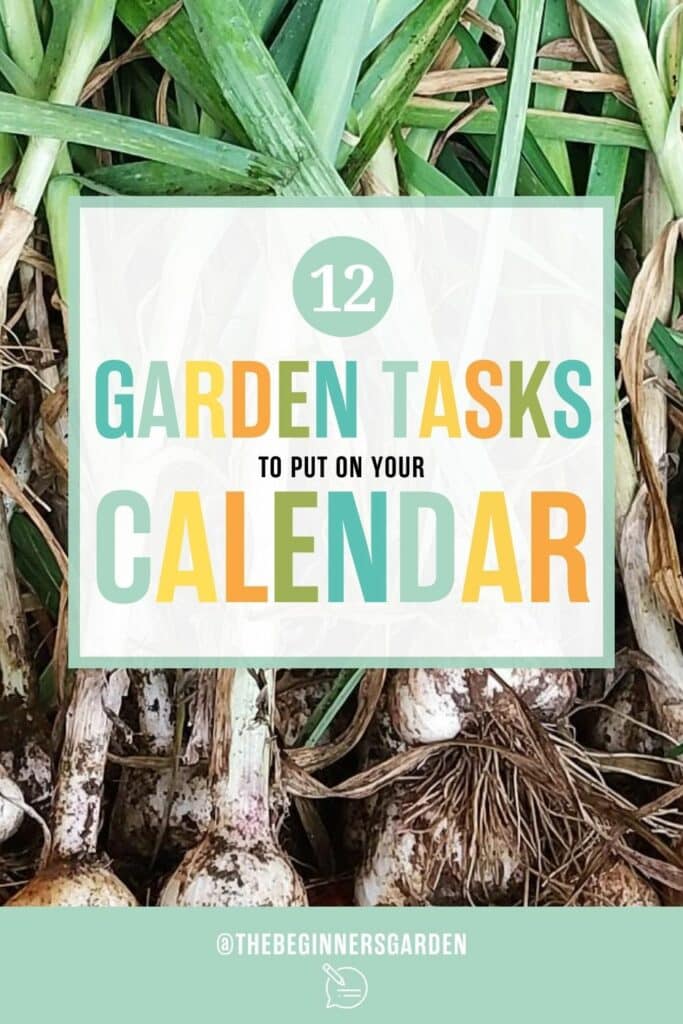 garden planning tasks