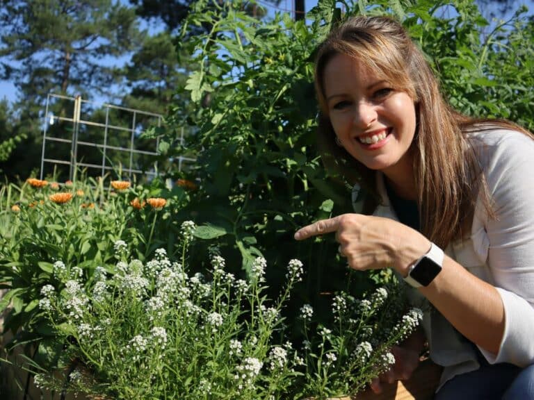 companion planting combinations