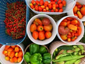 Planning a Year-Long Fresh Food Garden