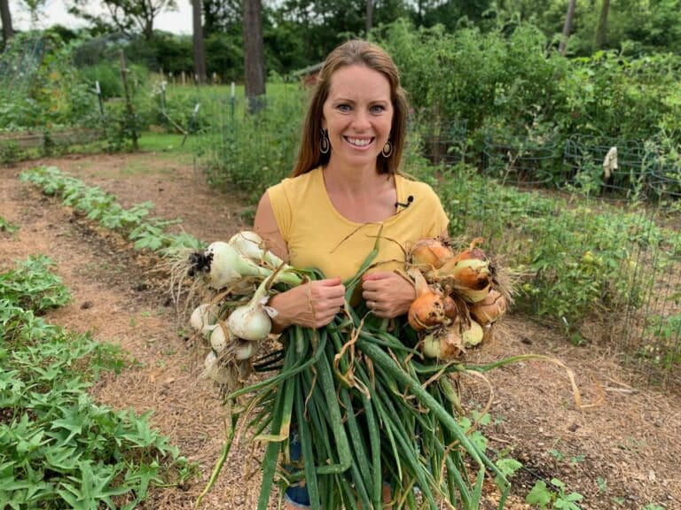 onions to plant first