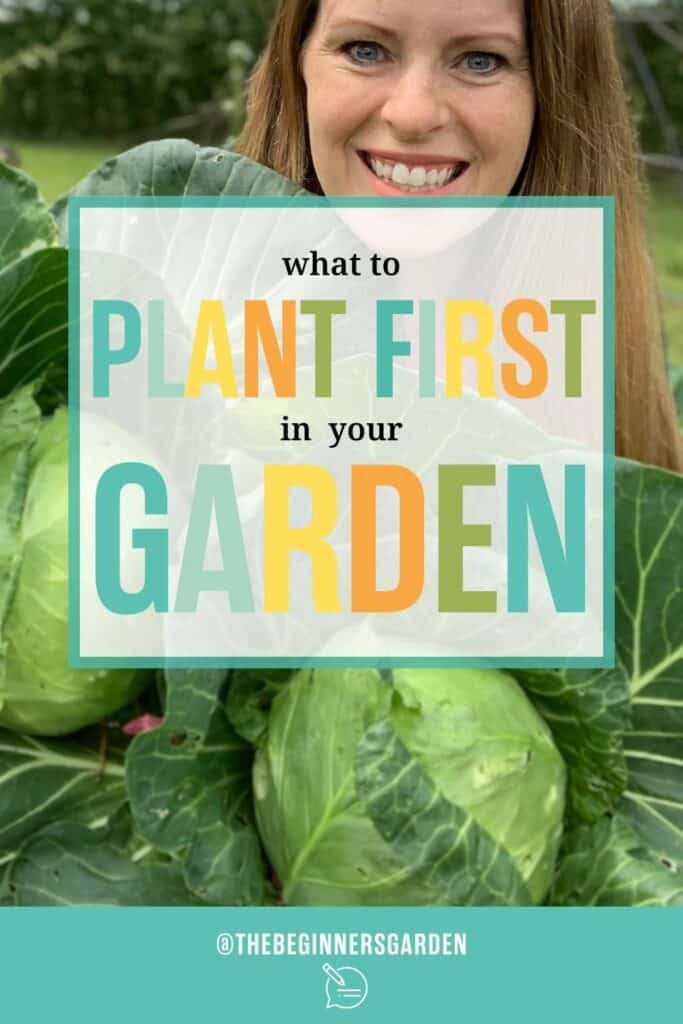 what to plant first in your garden