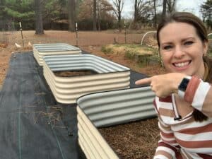 rasied garden beds filled with soil