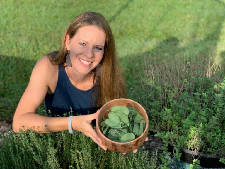 how to grow essential herbs