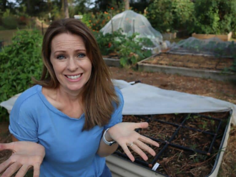 weeds are taking over