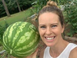 growing watermelon