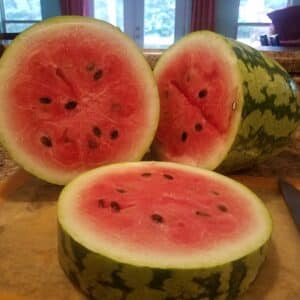 sliced watermelon