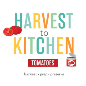 harvest to kitchen tomatoes