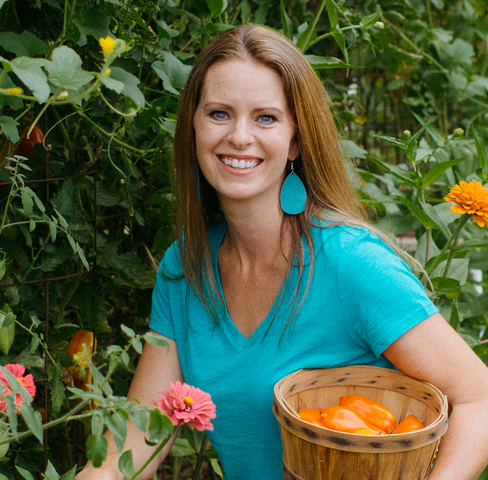 Jill McSheehy - The Beginner's Garden