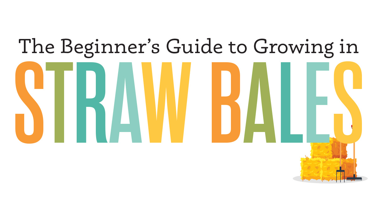 The Beginner's Guide to Growing Vegetables in Straw Bales