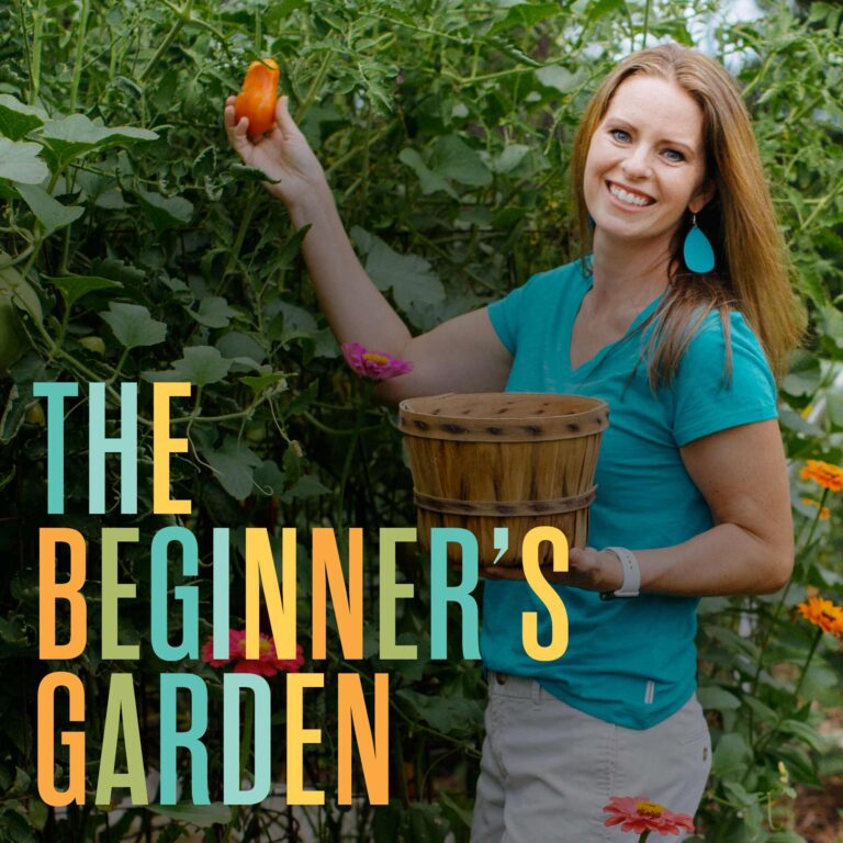 345 – Preventing Indoor Seed Starting Problems Before They Start