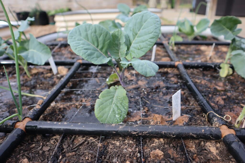 The Garden Grid™️ watering system