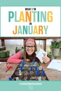 What I'm Planting In January