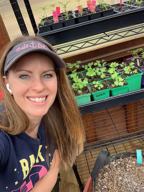 celery seedlings grown in January