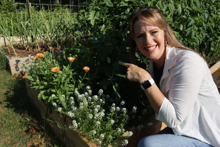companion planting myths