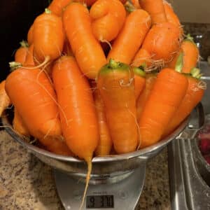 more carrots