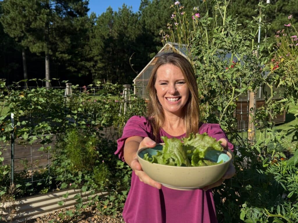 Fall Salad greens