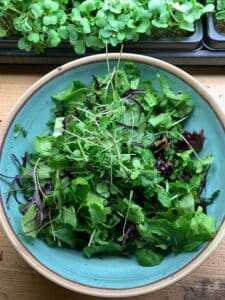 bowl of fall salad greens