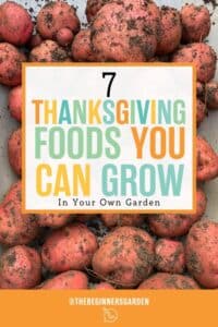 Thanksgiving foods you can grow