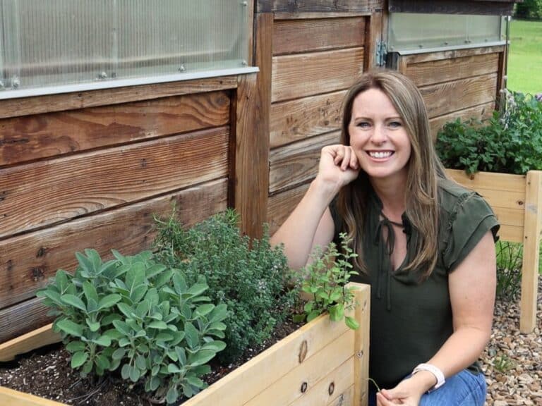 Overwintering Herbs: What Survives and What to Bring Indoors