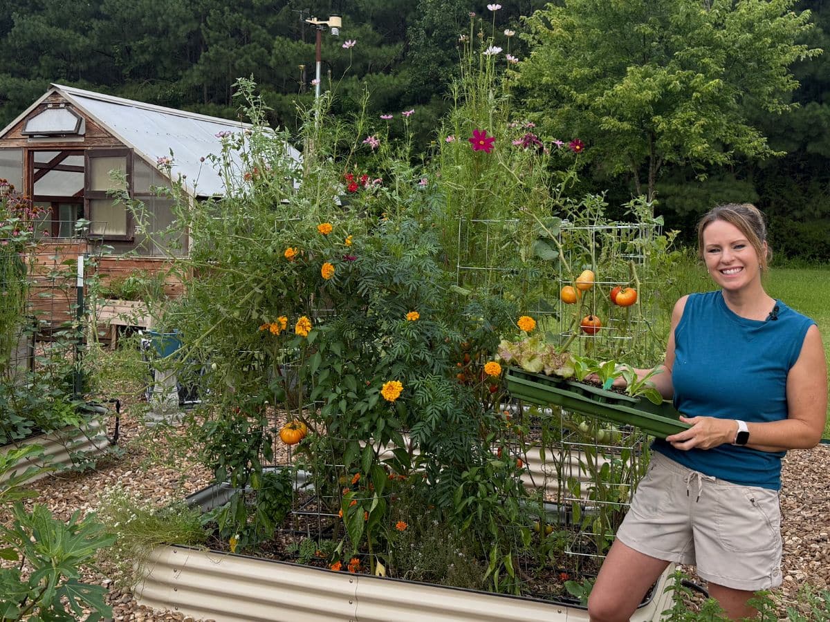 garden lessons learned