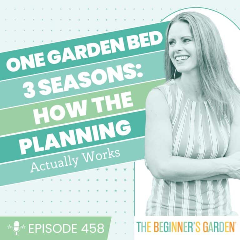 458 – One Garden Bed, Three Seasons: How the Planning Actually Works