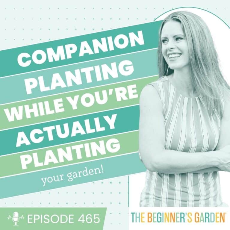 465 – Companion Planting While You&rsquo;re Actually Planting Your Garden