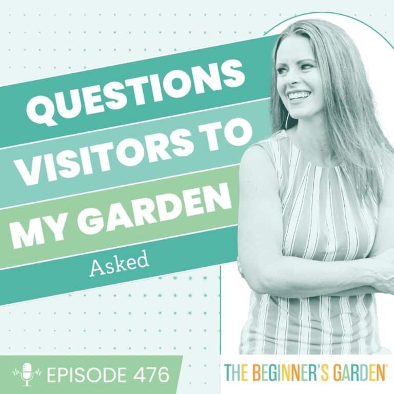 Questions My Garden Visitors Asked (and My Honest Answers)