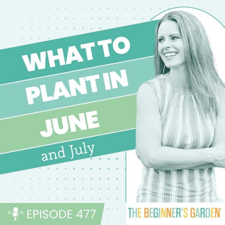 477 – What to Plant in June and July